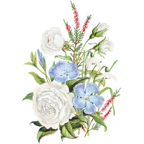 Detailreiche Zeichnung eines wilden Wiesenblumenstrausses – Symbol für Natürlichkeit, Biodiversität und die stille Schönheit der Natur