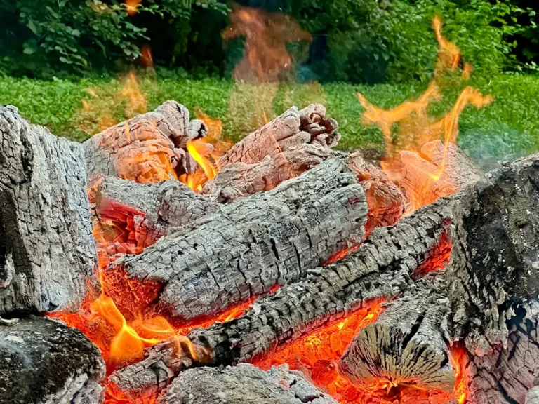 Düngen mit Holzasche – Glut und Asche als Rest von unbehandeltem Kaminholz