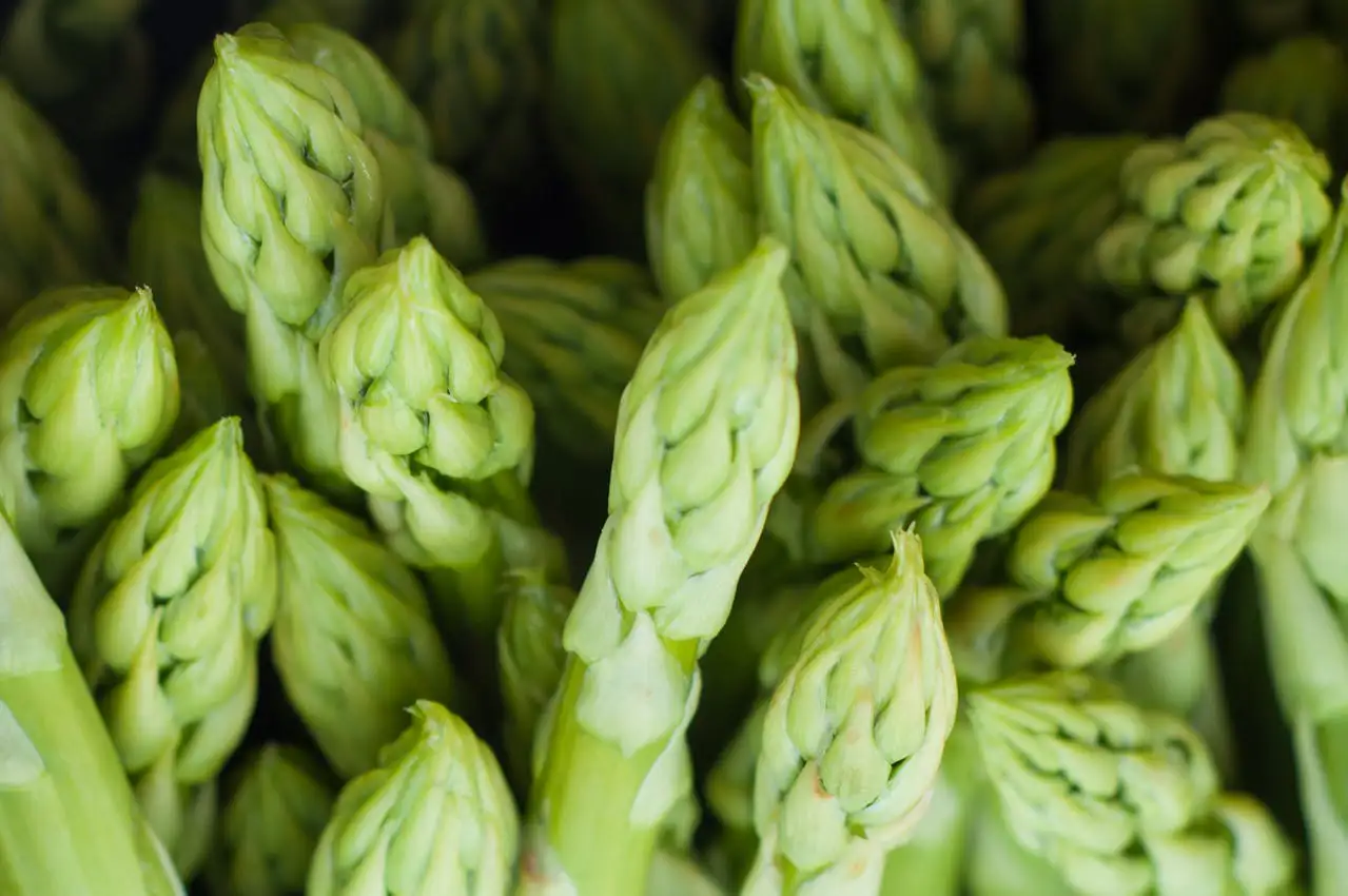 Grüner Spargel Anbau – frisch geerntete Spargelstangen auf Holz