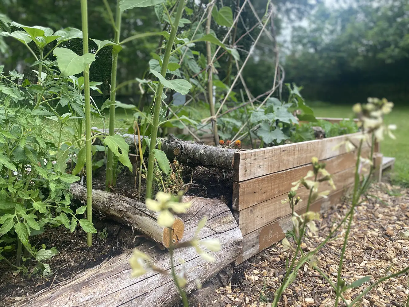 Hochbeetabdeckung selber machen – Beispiel mit Schutznetz und Holzrahmen