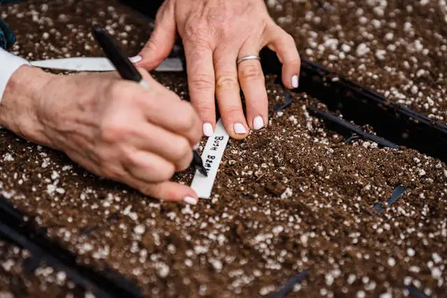 Gartenhände mischen Perlite unter lockere Erde im Topf