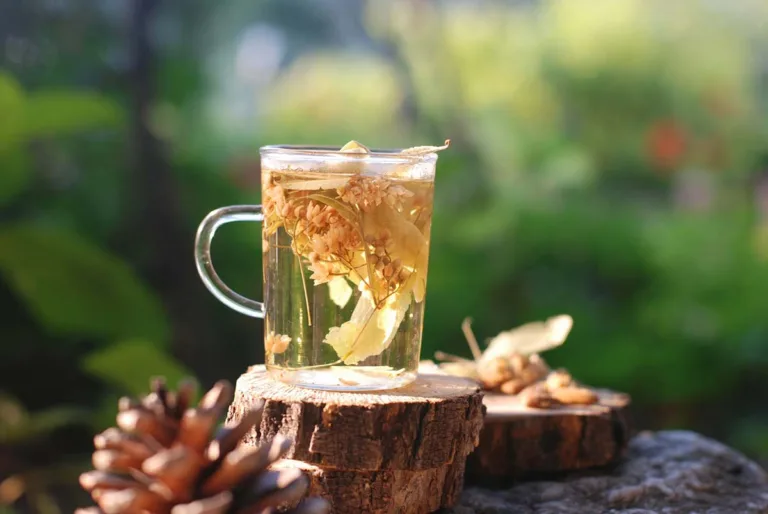 Welcher Tee bei Erkältung – dampfende Tasse mit Kräutern gegen Husten und Halsschmerzen