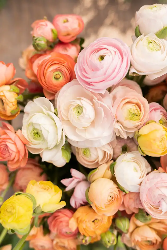 Bunter Blumenstrauß mit Ranunkeln und Frühlingsblumen