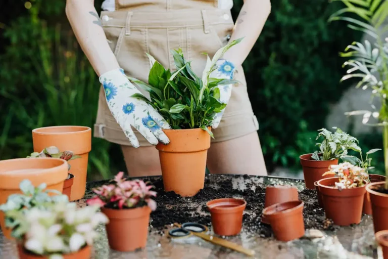 Vinasse selbst herstellen als natürlicher Dünger im Garten