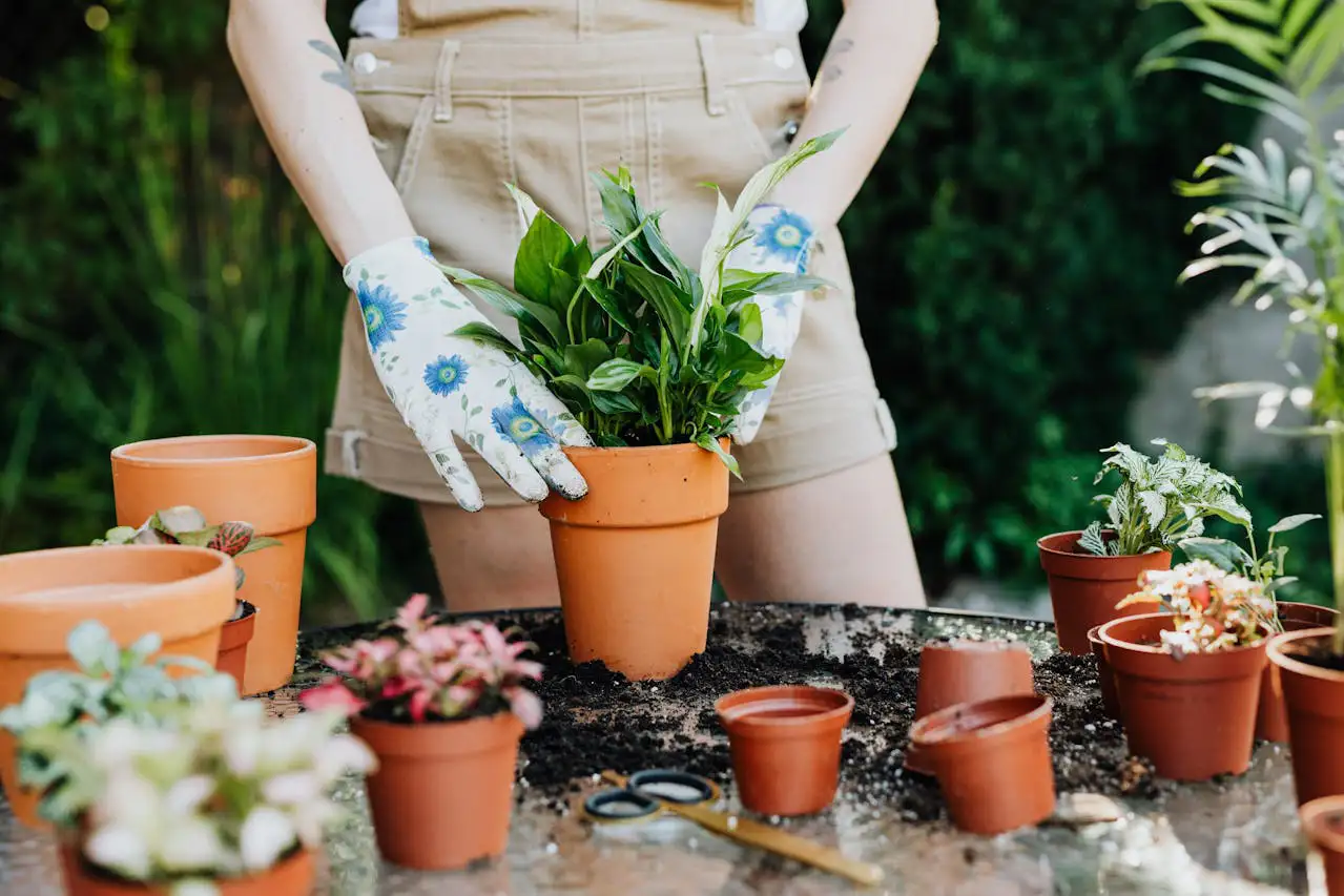 Vinasse selbst herstellen als natürlicher Dünger im Garten