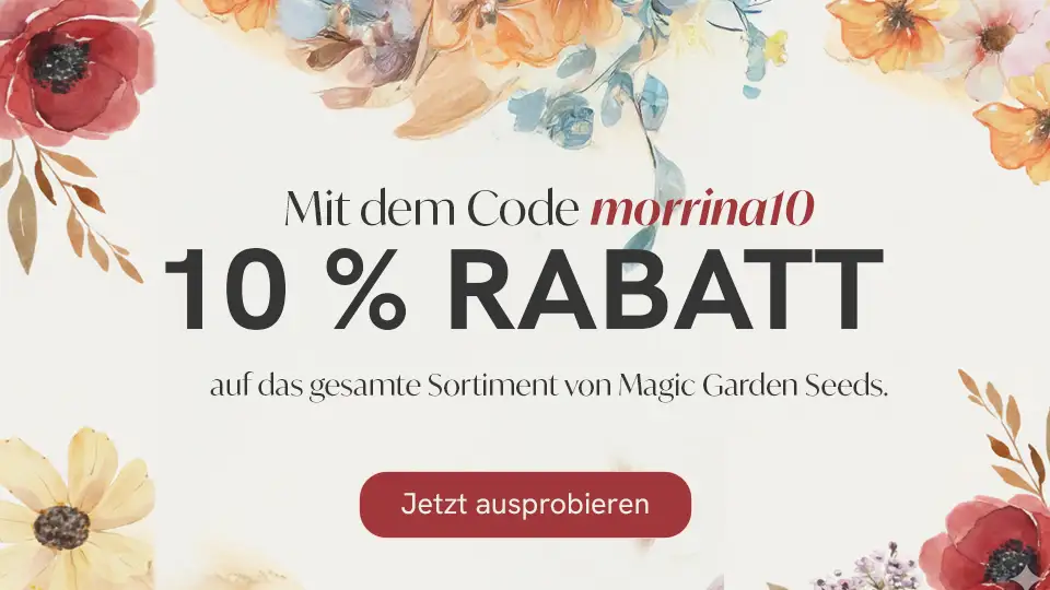 10 % Rabatt auf das ganze Sortiment von Magic Garden Seeds mit dem Code morrina10