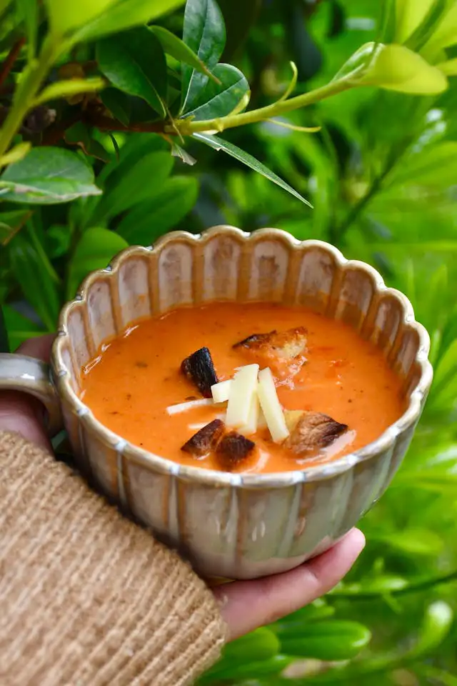 Tomaten und Zwiebeln im Suppentopf köcheln